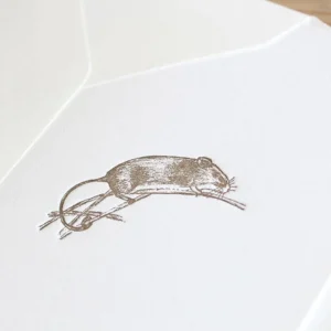 Cottontails handmade card - field mouse