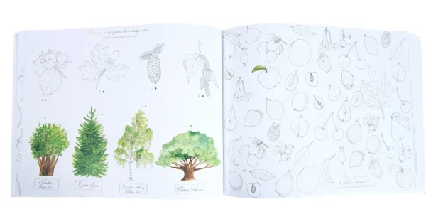 Moulin Roty Garden Activity book