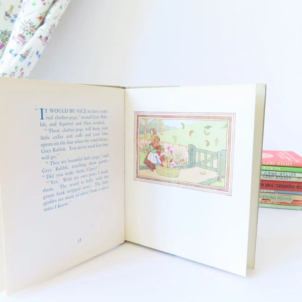 VINTAGE book - Little Grey Rabbit's Washing-Day with DJ (1969)