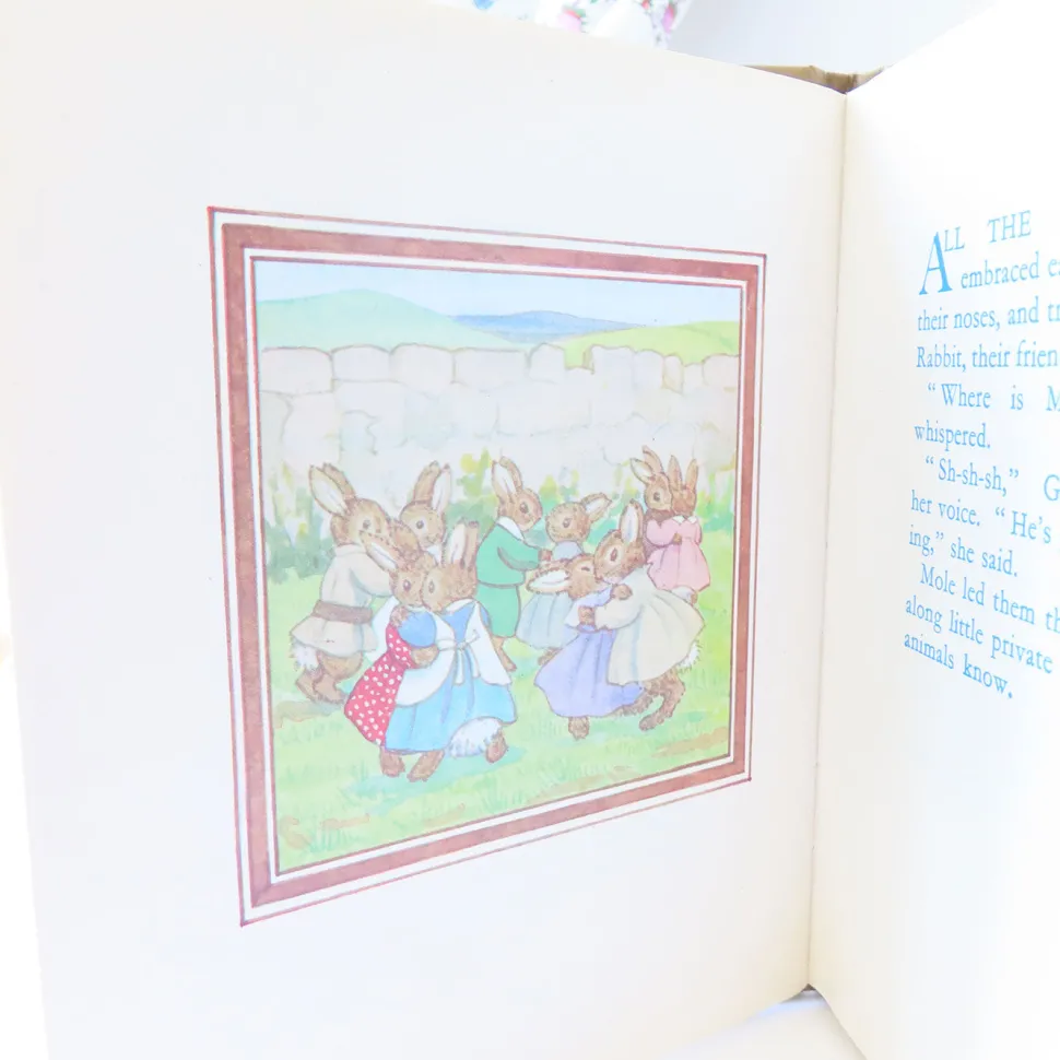 VINTAGE book - Moldy warp the Mole (1975)