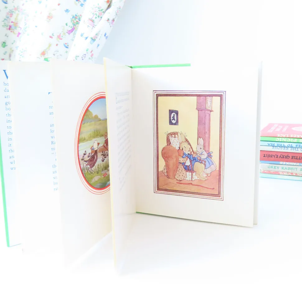 VINTAGE book - Water-Rat's Picnic (1969)