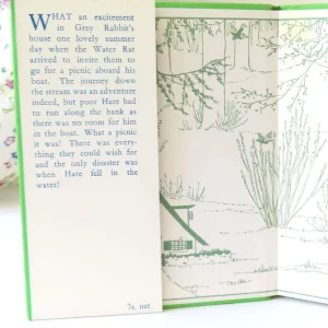 VINTAGE book - Water-Rat's Picnic (1969)