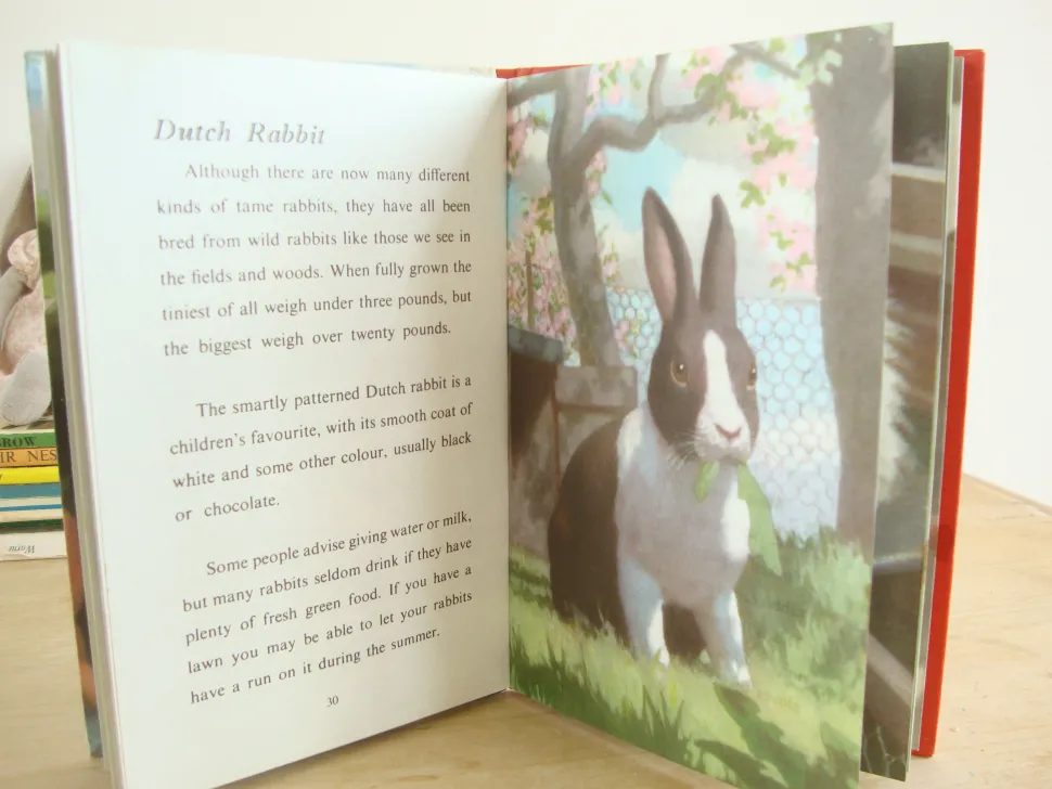 VINTAGE Ladybird - Book of Pets (1967)