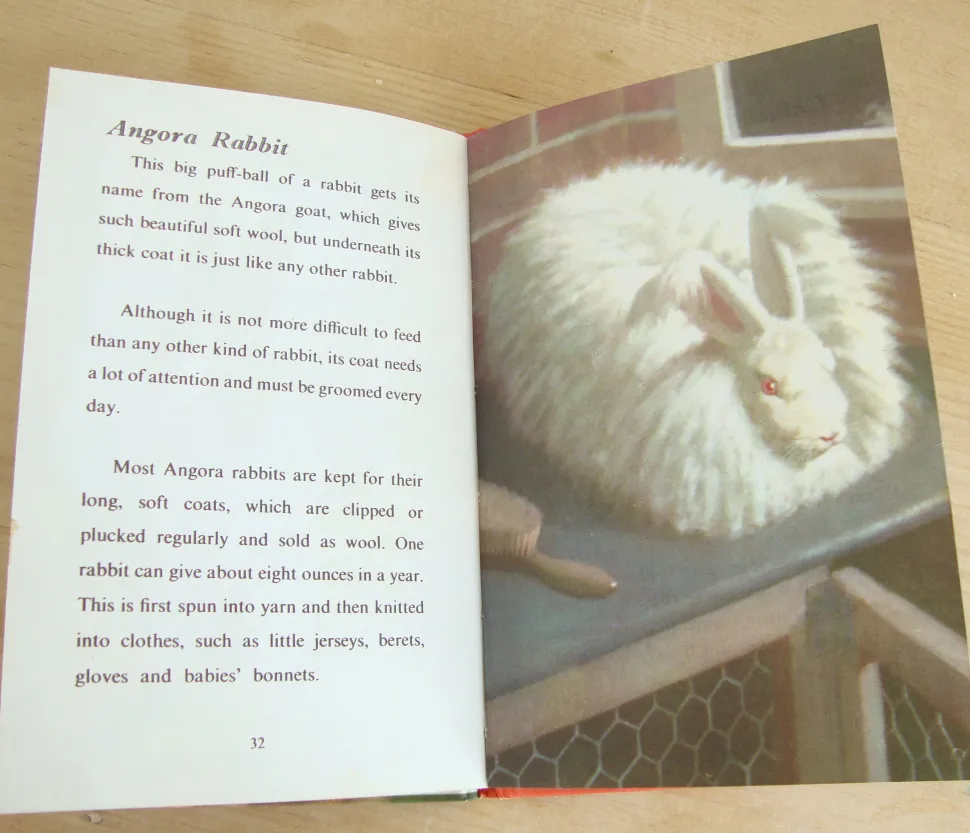 VINTAGE Ladybird - Book of Pets (1967)