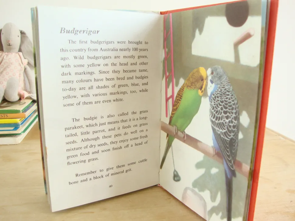 VINTAGE Ladybird - Book of Pets (1967)