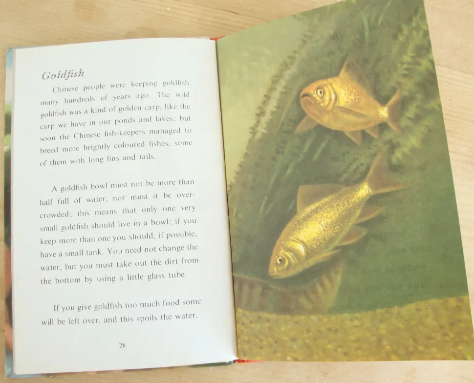 VINTAGE Ladybird - Book of Pets (1967)