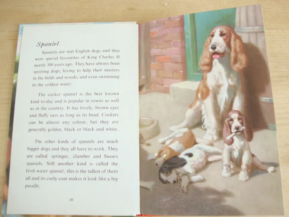 VINTAGE Ladybird - Book of Pets (1967)