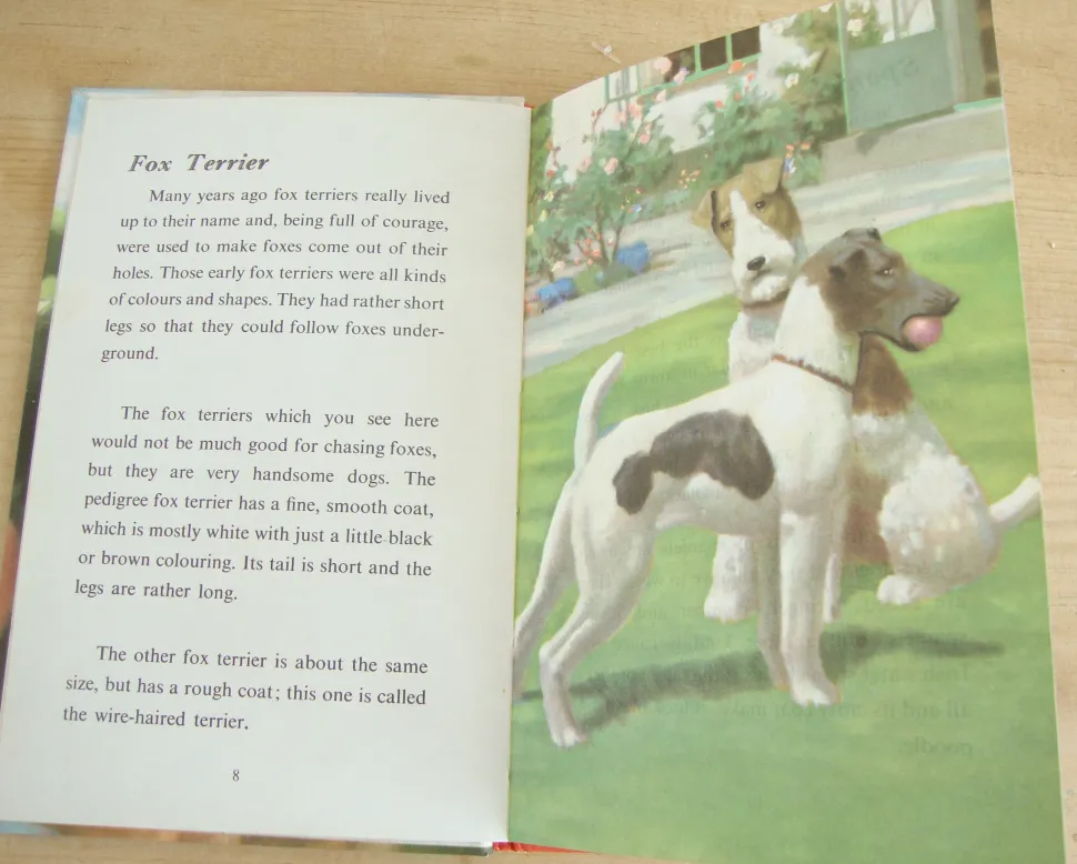 VINTAGE Ladybird - Book of Pets (1967)