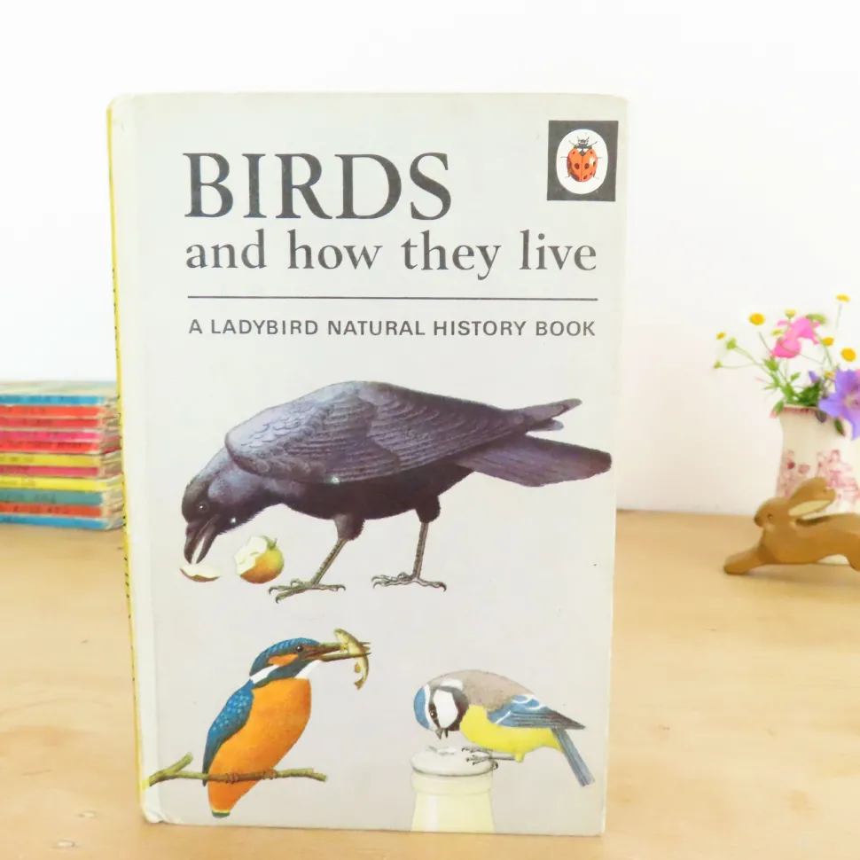 vintage_ladybird_book___b_0.webp VINTAGE Ladybird book - Birds and How They Live (1969)