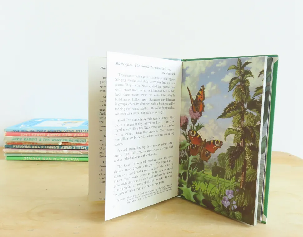 vintage_ladybird_book___b_1-2.webp VINTAGE Ladybird book - Butterflies. Moths and Other Insects (1974/5)