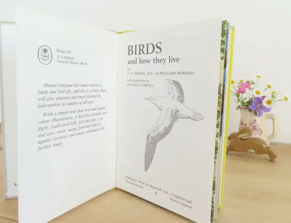 VINTAGE Ladybird book - Birds and How They Live (1969)