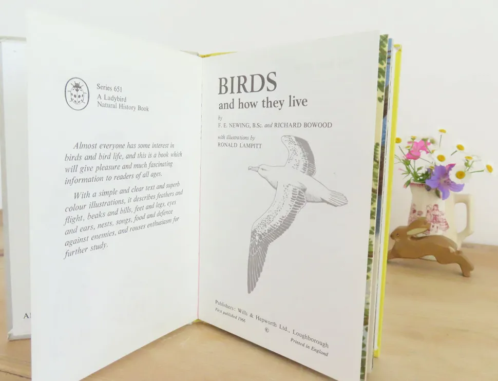 vintage_ladybird_book___b_2.webp VINTAGE Ladybird book - Birds and How They Live (1969)