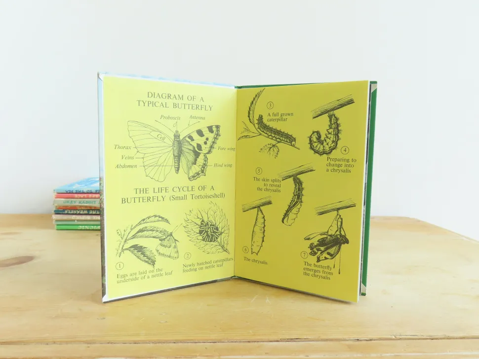 vintage_ladybird_book___b_3-2.webp VINTAGE Ladybird book - Butterflies. Moths and Other Insects (1974/5)