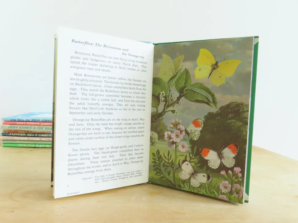 vintage_ladybird_book___b_4-2.webp VINTAGE Ladybird book - Butterflies. Moths and Other Insects (1974/5)