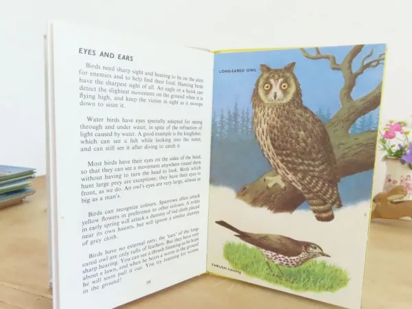 VINTAGE Ladybird book - Birds and How They Live (1969)