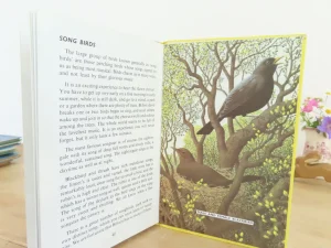 VINTAGE Ladybird book - Birds and How They Live (1969)