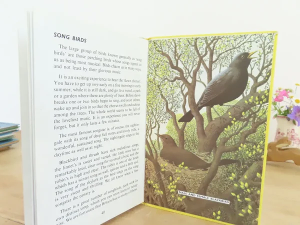 VINTAGE Ladybird book - Birds and How They Live (1969)