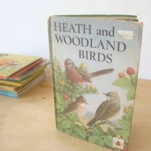 VINTAGE Ladybird book - Heath & Woodland Birds (mid 1970s)