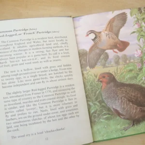 VINTAGE Ladybird book - Heath & Woodland Birds (mid 1970s)
