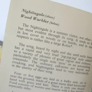 VINTAGE Ladybird book - Heath & Woodland Birds (mid 1970s)