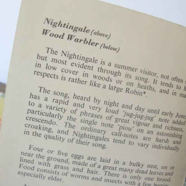 VINTAGE Ladybird book - Heath & Woodland Birds (mid 1970s)