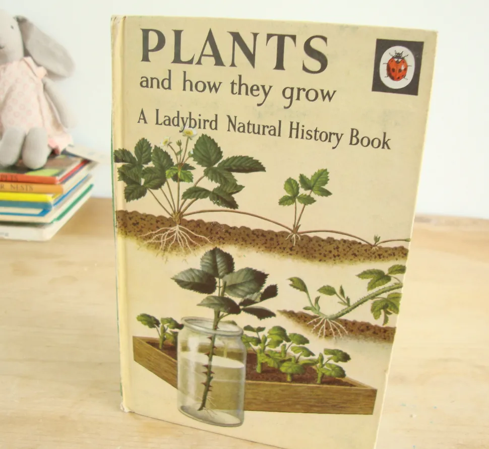 vintage_ladybird_book___p_0-1.webp VINTAGE Ladybird book - Plants and how they Grow (c. 1971)