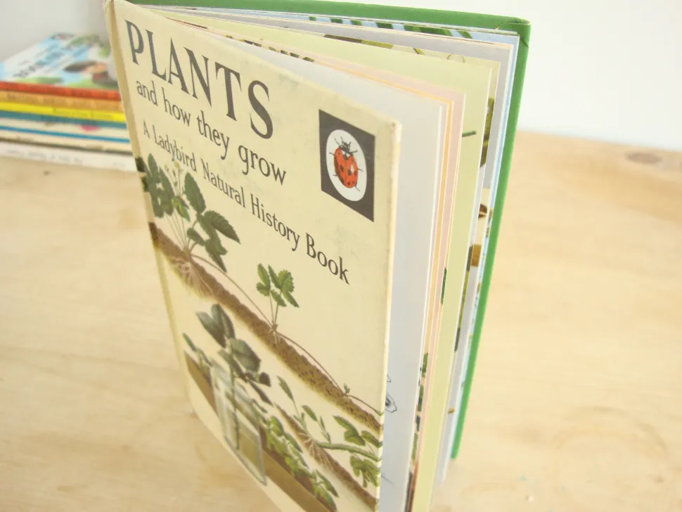 vintage_ladybird_book___p_1-1.webp VINTAGE Ladybird book - Plants and how they Grow (c. 1971)
