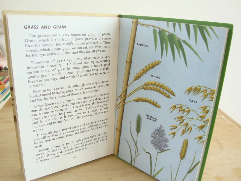 vintage_ladybird_book___p_2-1.webp VINTAGE Ladybird book - Plants and how they Grow (c. 1971)