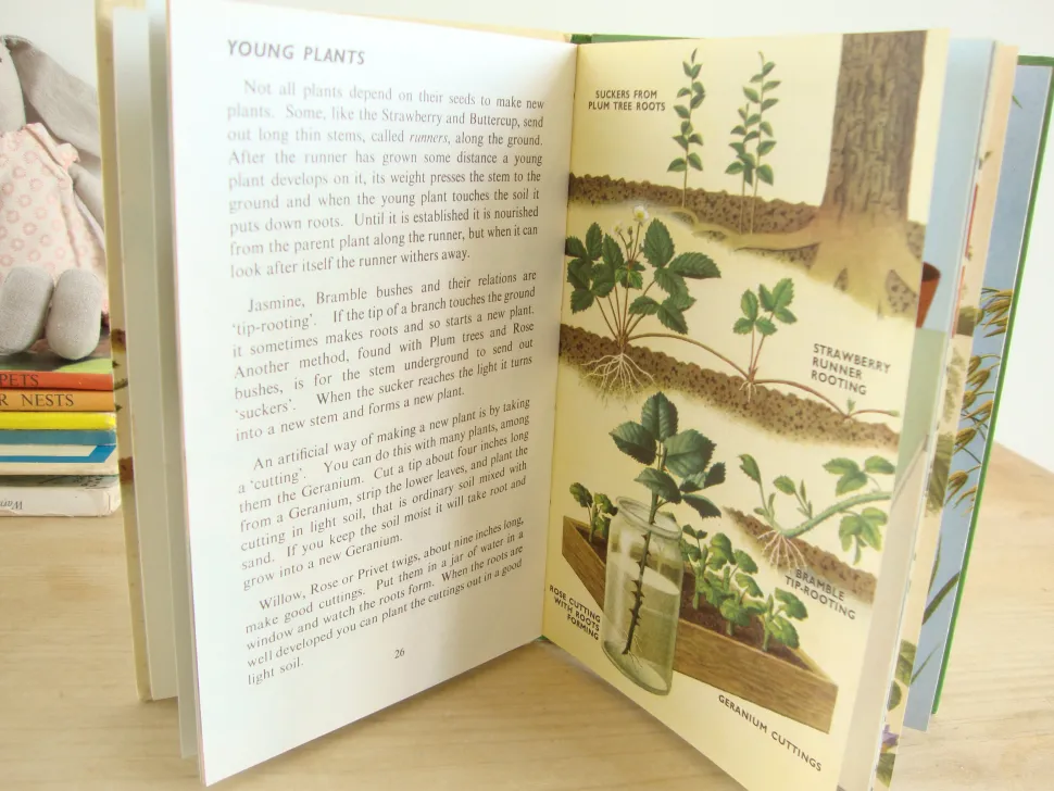 vintage_ladybird_book___p_3-1.webp VINTAGE Ladybird book - Plants and how they Grow (c. 1971)