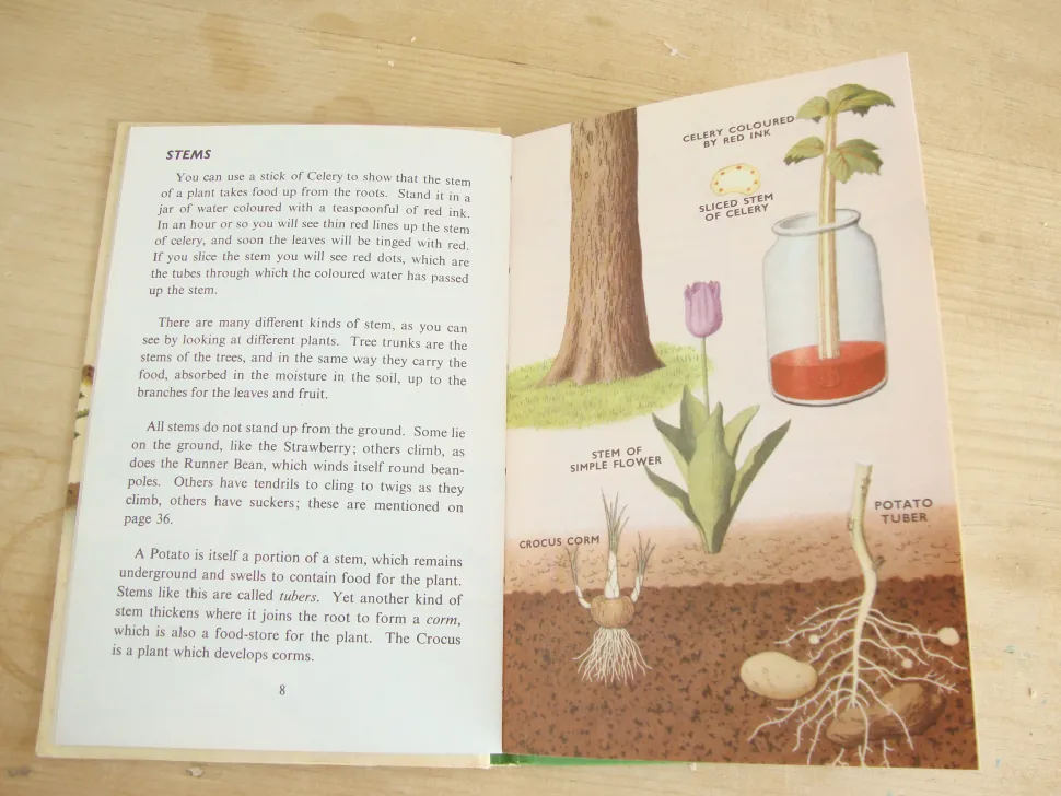 vintage_ladybird_book___p_4-1.webp VINTAGE Ladybird book - Plants and how they Grow (c. 1971)