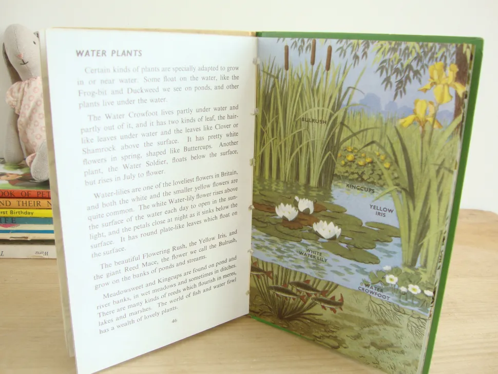 vintage_ladybird_book___p_6-1.webp VINTAGE Ladybird book - Plants and how they Grow (c. 1971)