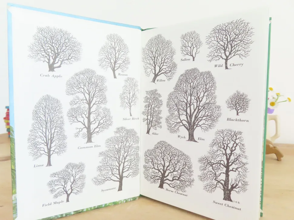 vintage_ladybird_book___t_1-2.webp VINTAGE Ladybird book - Trees (1970s)