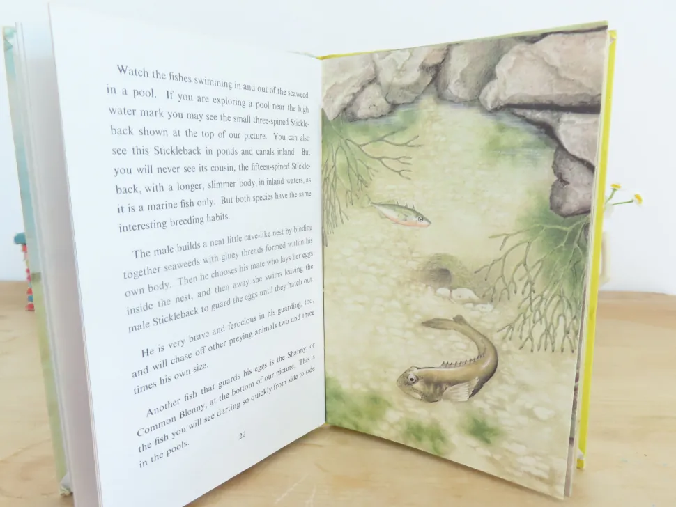 VINTAGE Ladybird book - The Seashore (1970s)