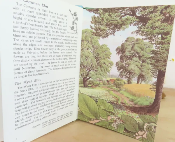VINTAGE Ladybird book - Trees (1970s)