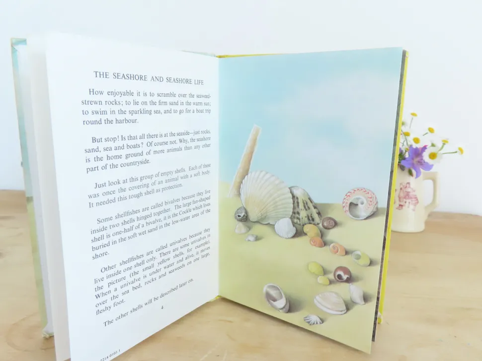 VINTAGE Ladybird book - The Seashore (1970s)