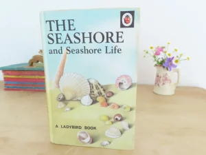 VINTAGE Ladybird book - The Seashore (1970s)