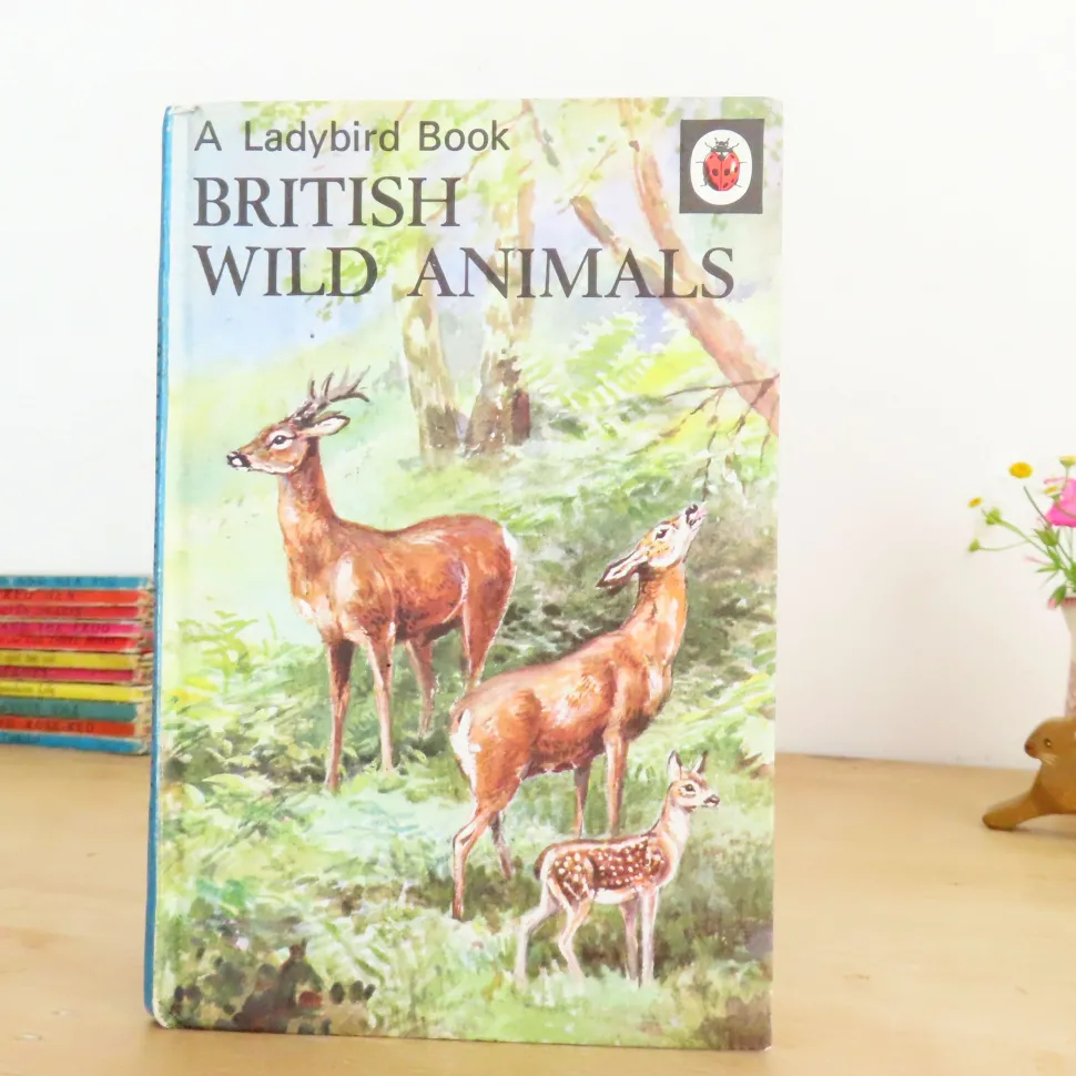 VINTAGE Ladybird book - British Wild Animals (1971)