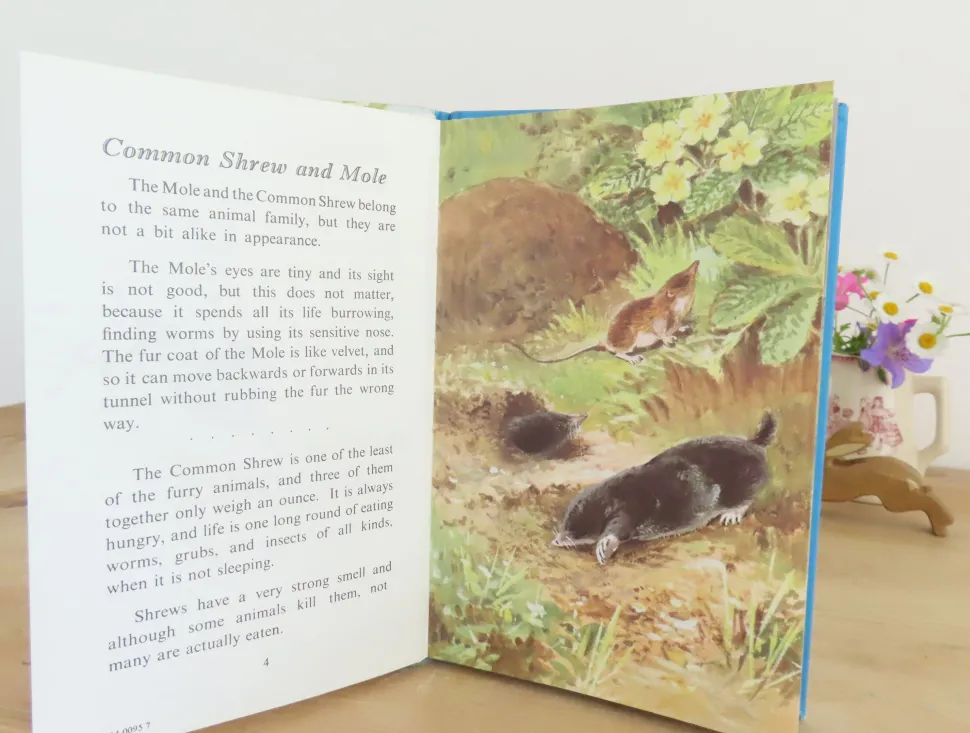 VINTAGE Ladybird book - British Wild Animals (1971)