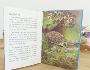 VINTAGE Ladybird book - British Wild Animals (1971)