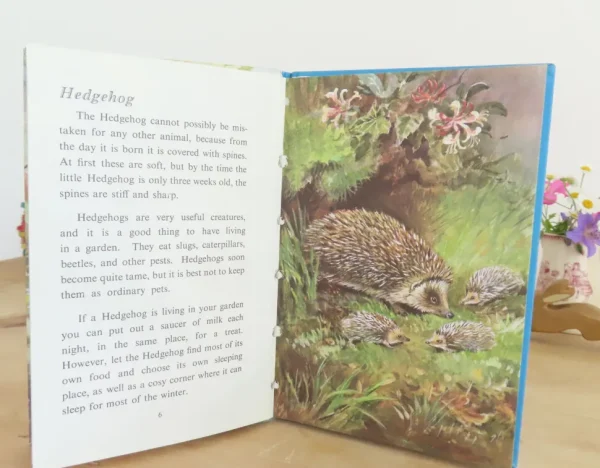 VINTAGE Ladybird book - British Wild Animals (1971)