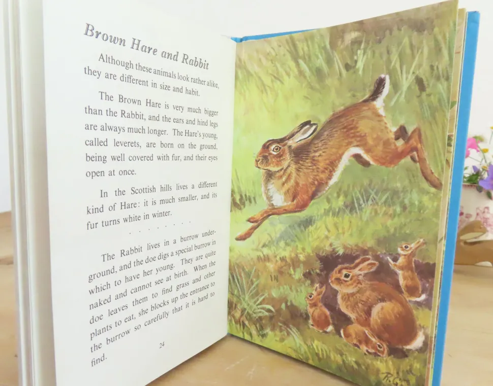 VINTAGE Ladybird book - British Wild Animals (1971)