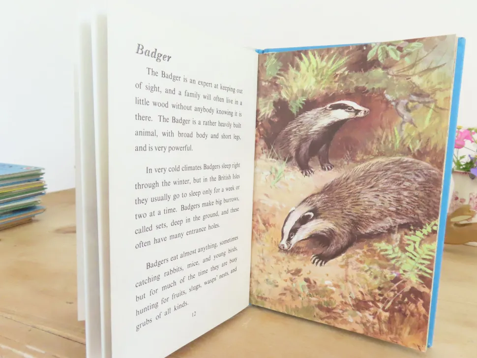 VINTAGE Ladybird book - British Wild Animals (1971)