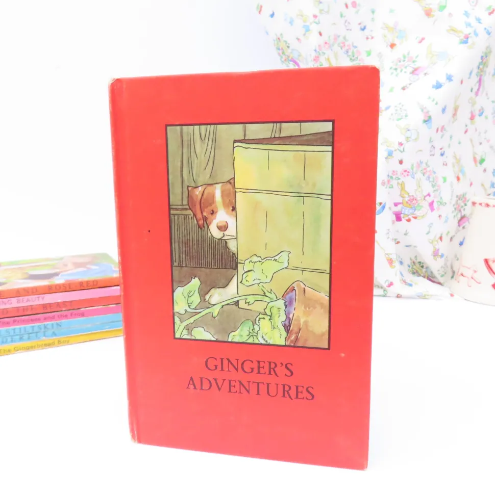 VINTAGE Ladybird book - Ginger's Adventures (mid 1960s)