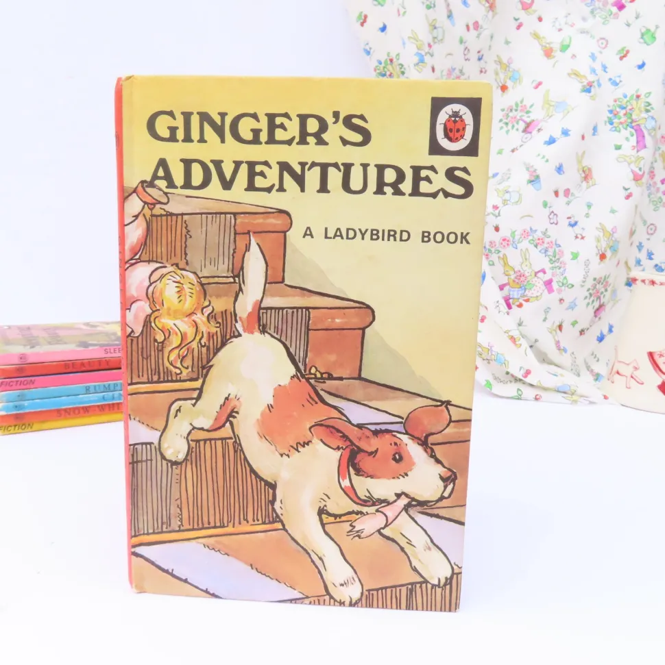 VINTAGE Ladybird book - Ginger's Adventures (1974)