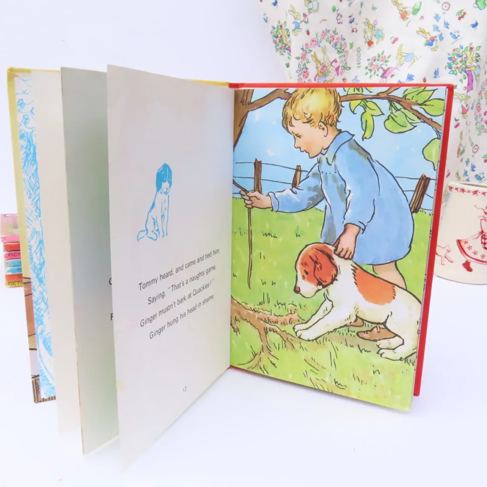 VINTAGE Ladybird book - Ginger's Adventures (1974)