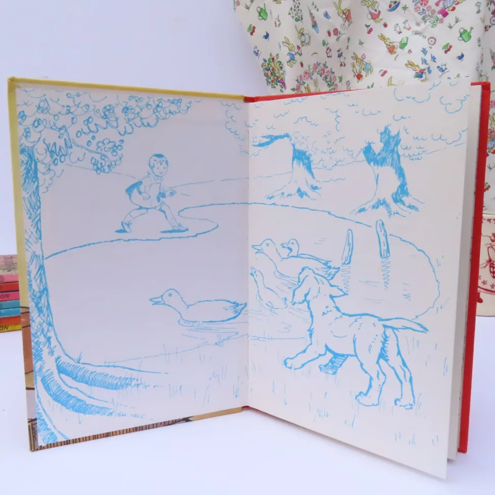 VINTAGE Ladybird book - Ginger's Adventures (1974)