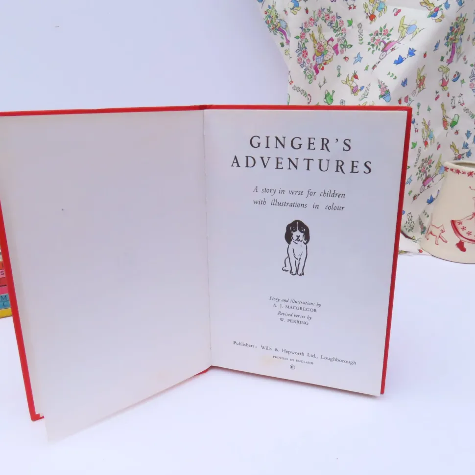 VINTAGE Ladybird book - Ginger's Adventures (mid 1960s)