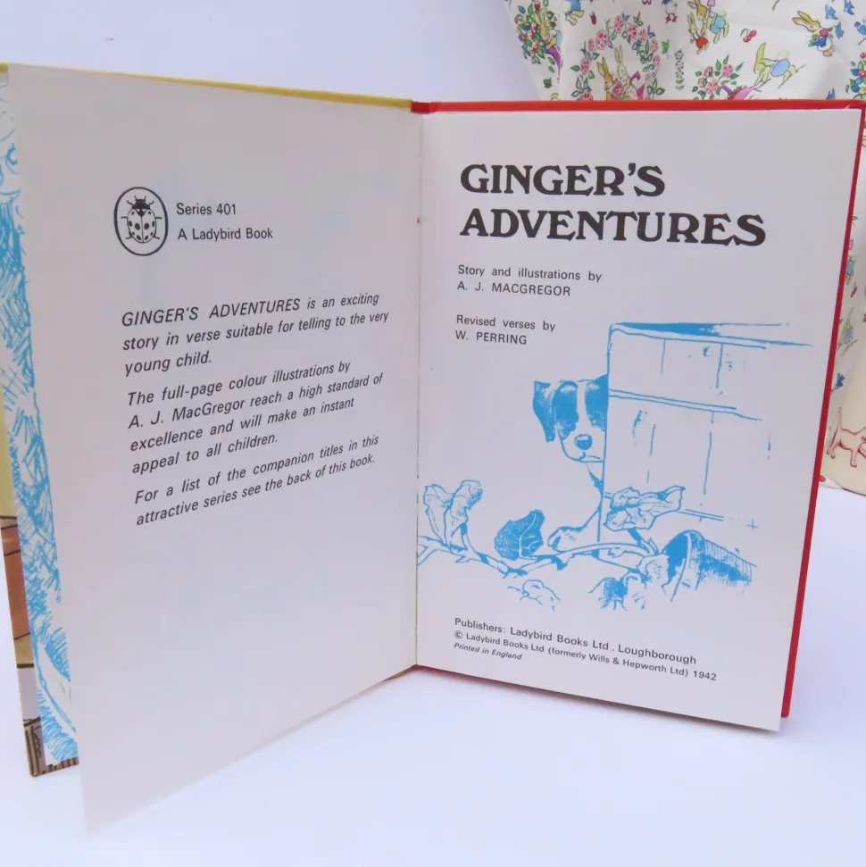 VINTAGE Ladybird book - Ginger's Adventures (1974)