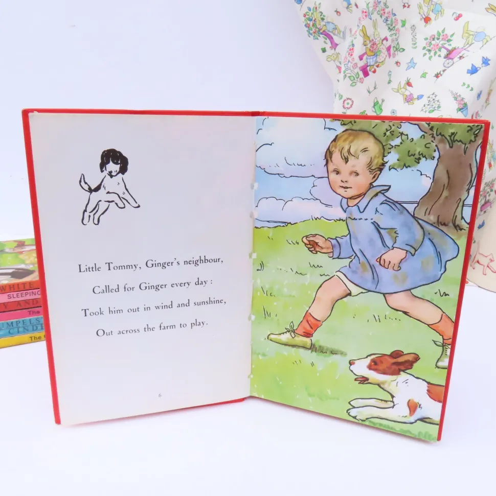 VINTAGE Ladybird book - Ginger's Adventures (mid 1960s)