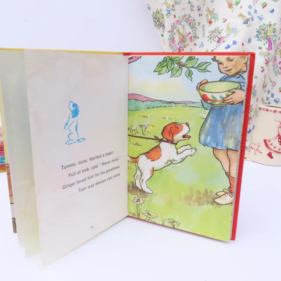 VINTAGE Ladybird book - Ginger's Adventures (1974)